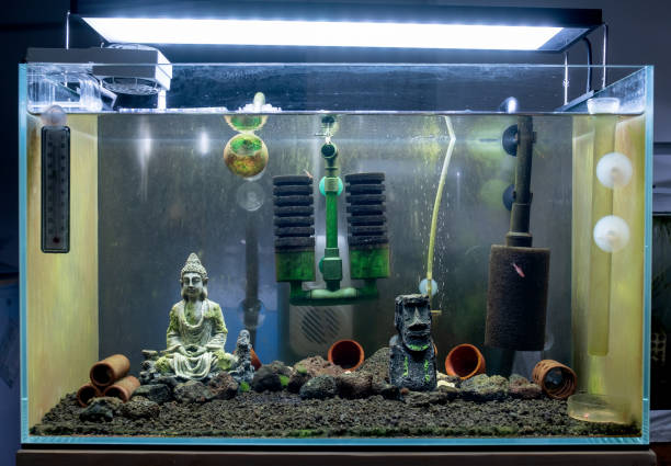 Acquario completo con filtro e illuminazione LED